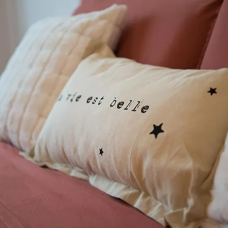 Chez Fany - Superbe En Résidence Avec Parking Appartement Metz