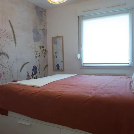 Chez Fany - Superbe En Avec Parking Apartment Metz